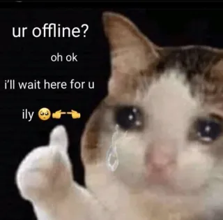 😩 df17b940 ur offline?
oh ok
i'll wait here for u
ily👉👈 cat, offline, waiting, sad, animal, internet, meme telegram sticker