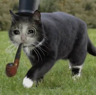 😩 f9ebf6c4 cat, pipe, top hat, pet, animal, dapper telegram sticker