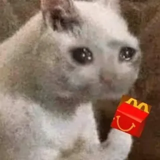 😩 feacbc73 cat, crying, sad, mcdonalds, happymeal telegram sticker