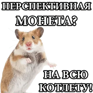 👌 ff83fe8b ПЕРСПЕКТИВНАЯ
МОНЕТА?
НА ВСЮ
КОТЛЕТУ! Hamster, Investment, Geld, Russisch, Sticker, Münze, Niedlich, Tier telegram sticker