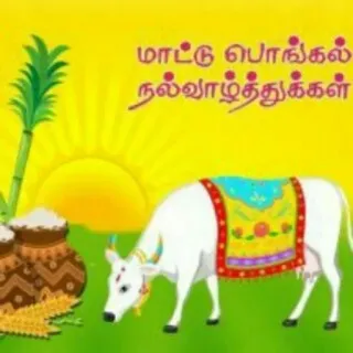 🐄 7b00b11d மாட்டு பொங்கல் நல்வாழ்த்துக்கள் Pongal, lễ hội, bò, Tamil, thu hoạch telegram sticker