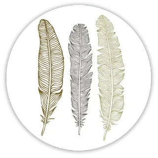 💮 1e583ce2 pióra, rysunek, światło, ciemny, natura, design telegram sticker