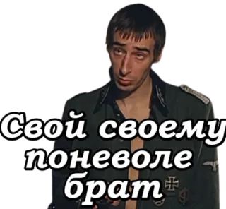 Брат telegram stickers