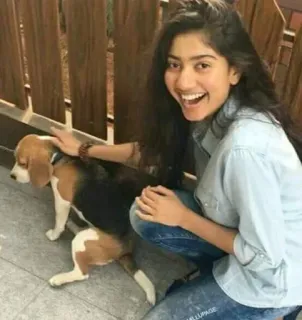 🥰 e9e2568b หมา, ผู้หญิง, ยิ้ม, สัตว์เลี้ยง, มิตรภาพ, บีเกิล, ความสุข telegram sticker