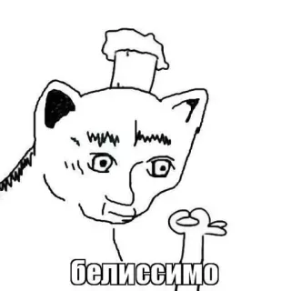 👌 5415d311 белиссимо gatto, animale, adesivo, divertente, belissimo whatsapp sticker
