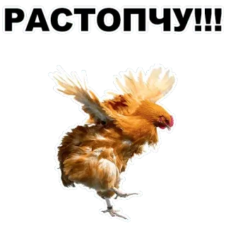 👺 858cc956 РАСТОПЧУ!!! pollo, uccello, testo russo, animale whatsapp sticker