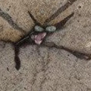 💩 95626b67 whatsapp sticker