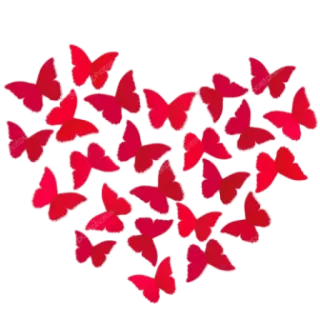 ♥️ 09baf28a farfalla, cuore, rosso, amore, pattern whatsapp sticker