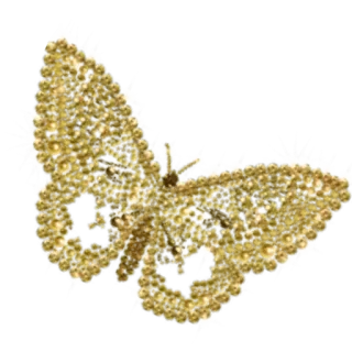 🦋 0ffb3102 farfalla, insetto, falena, natura, dorato whatsapp sticker