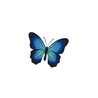 🦋 2382478c farfalla, blu, insetto, natura, animale, ali whatsapp sticker