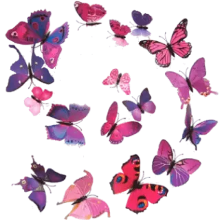 🦋 5227754e farfalle, rosa, viola, insetti, natura whatsapp sticker