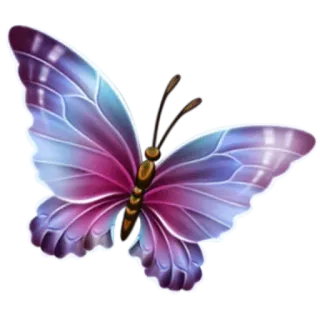 🦋 6369c33c farfalla, ali, viola, blu, insetti, natura, animale whatsapp sticker