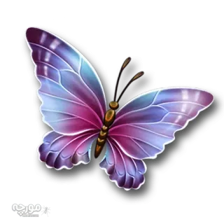 🐝 6d383b83 farfalla, ali, viola, insetto, natura, carina whatsapp sticker