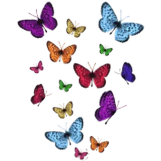 🦋 6e535f42 farfalla, insetti, primavera, natura, colorato whatsapp sticker