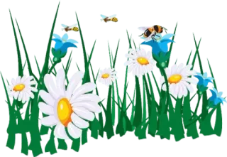 📌 721193b3 natura, fiori, api, margherite, giardino whatsapp sticker