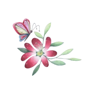 🍀 8ab6fa28 fiore, farfalla, natura, rosa, foglie whatsapp sticker