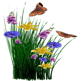 🐝 c0628583 fiori, farfalle, natura, floreale, prato whatsapp sticker