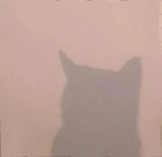 💈 a548e44f кот, тень, животное, силуэт, домашнее животное, питомец telegram sticker