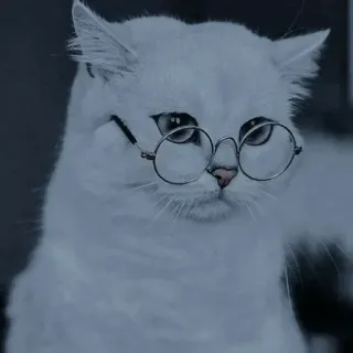 💈 e42f06be кот, очки, белый кот, животное, домашнее животное telegram sticker