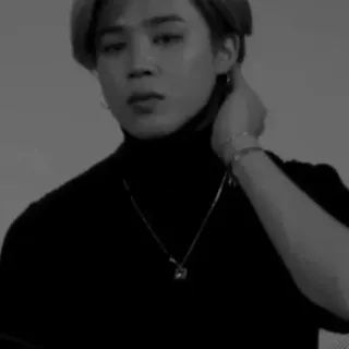 🦔 7456b8d3 telegram sticker