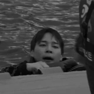 🦔 852c706f telegram sticker