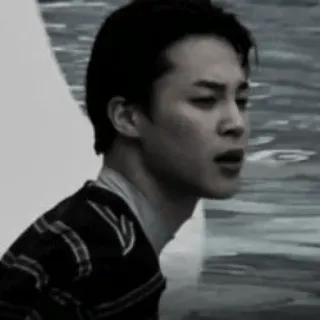 🦅 d443b08e telegram sticker