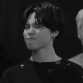 🦔 f15681ca telegram sticker