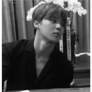 ✨ fc11c833 Big Hit Entertainment Kpop, Homem, Entretenimento, Pessoa, Ídolo telegram sticker