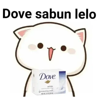 🏵 070bf7cb Dove sabun lelo paloma, jabón, gato, lindo, meme telegram sticker