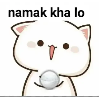 🏵 bbf546ee namak kha lo gato, sal, lindo, meme telegram sticker