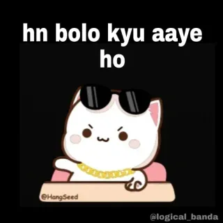 😕 cf65479f hn bolo kyu aaye ho gatto, occhiali da sole, cartone animato, meme, divertente, figo whatsapp sticker