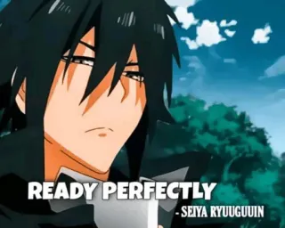 😟 a388ff6e Seiya Ryuuguuin READY PERFECTLY - SEIYA RYUUGUIN Anime, Personaje, Seiya, Ryuuguuin whatsapp sticker