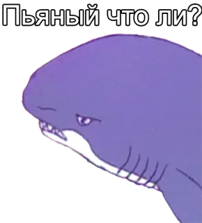 👀 04b1cc79 Пьяный что ли? shark, animal, question, cartoon telegram sticker