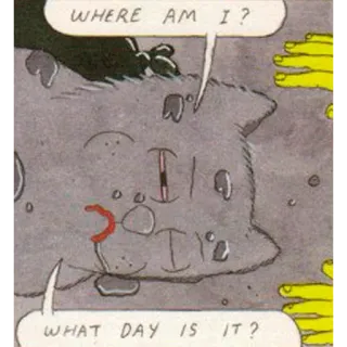 😶 069977d1 WHERE AM I? WHAT DAY IS IT? cat, question, lost, dazed, confused telegram sticker