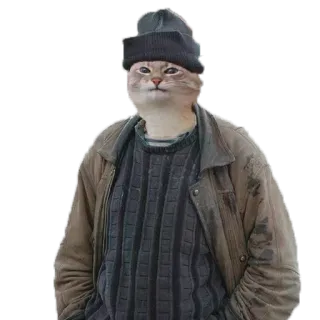 🙊 e5b31a1b cat, jacket, hat, anthropomorphic, animal telegram sticker