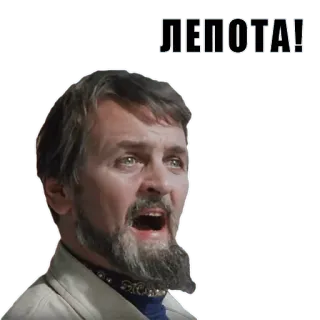 👍 fe236f55 ЛЕПОТА! telegram sticker