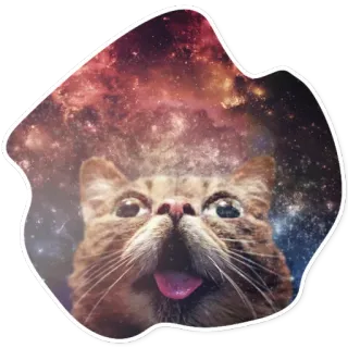 😳 010b5507 Katze, Galaxie, Weltraum, Tier, Haustier, lustig telegram sticker
