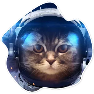 🌚 36913ae5 Katze, Astronaut, Weltraum, Tier, Helm, Galaxie telegram sticker