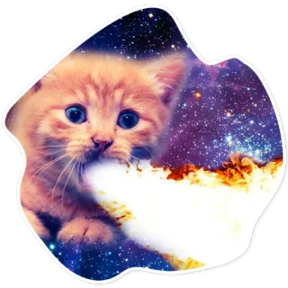 🔥 3760723b Katze, Kätzchen, Weltraum, Galaxie, Feuer, Flamme telegram sticker