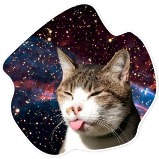 😛 6a3f8aef Katze, Zunge, Galaxie, Lustig, Tier, Haustier, Weltraum telegram sticker
