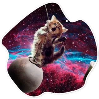 🤠 ca5281d5 Katze, Weltraum, Planet, Kätzchen, Schaukel, Galaxie, süß telegram sticker
