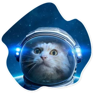 🌎 d55852f0 Katze, Astronaut, Weltraum, Helm, Sterne, Weltall telegram sticker