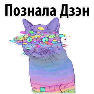 Space Cats @stickersb2b telegram stickers