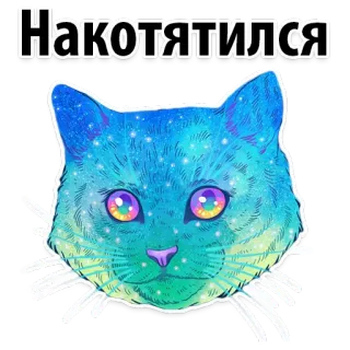 🐱 6a42783e Накотятялися Katze, Galaxie, Aufkleber, Tier, süß whatsapp sticker
