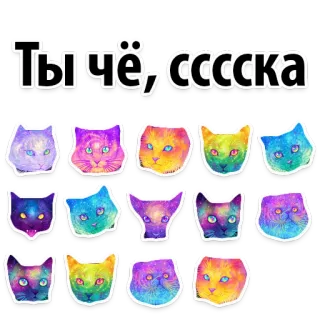 ☹️ 72c22676 Ты чё, сссссска Katze, Aufkleber, Bunt, Russisch, Beleidigung whatsapp sticker