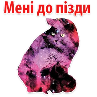 😣 a6e07fbb Мені до пізди Katze, Galaxie, Sterne, Aufkleber, beleidigend, Text, ukrainisch whatsapp sticker