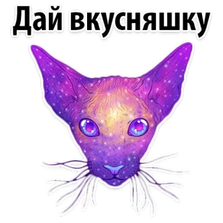 Space Cats @stickersb2b telegram stickers