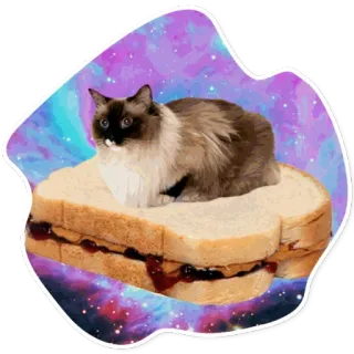🍞 013715a3 kucing, selai kacang, jeli, sandwich, galaksi, humor, lucu, kocak telegram sticker
