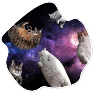 😴 0c7abec4 kucing, luar angkasa, galaksi, lucu, binatang, imut telegram sticker