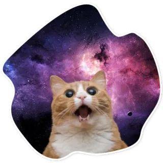 😂 21b5c8c3 kucing, luar angkasa, meme, lucu, galaksi, terkejut, stiker telegram sticker